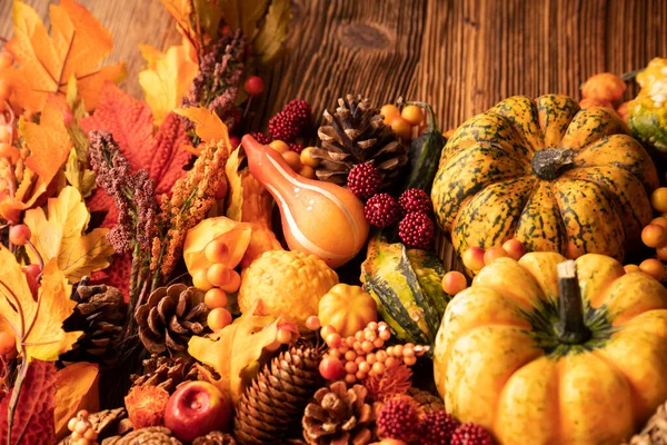 Herfst Compositie Een Rustieke Houten Achtergrond Decoratieve Pompoenen Diverse Bladeren — Stockfoto