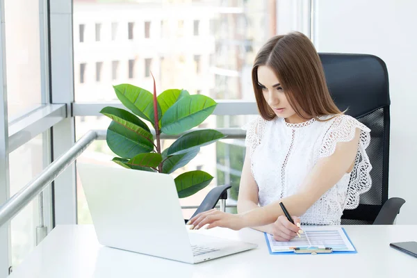 Modern business woman work in the office — Stock Photo, Image