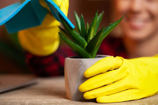 Feliz casa esposa con spray teniendo cuidado de las plantas en su casa —  Fotos de Stock