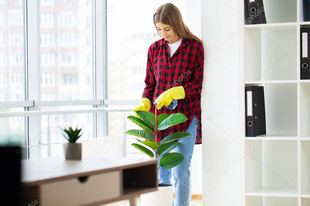 Woman cleaner wiping with a rag the leaves of plants in the office.
