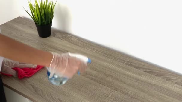 清洁公司的清洁女工从办公室的桌子上擦去灰尘 — 图库视频影像