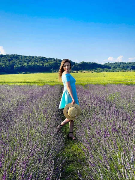 Mujer en el campo de flores de lavanda al atardecer en vestido azul. —  Fotos de Stock