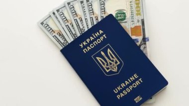Ukrayna pasaportu ve parası, Ukrayna vatandaşının biyometrik pasaportu ve dolar.