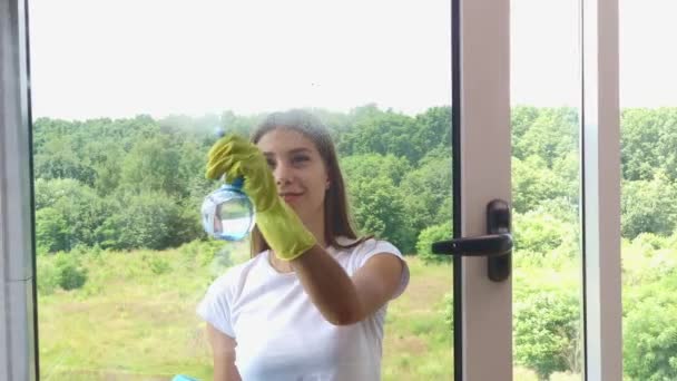 美しい女性 手袋で クリーニング 特別なスポンジでWindowsを洗う — ストック動画