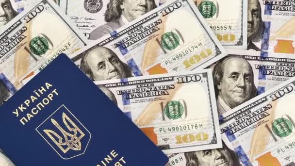 Украинский Паспорт Деньги Биометрический Паспорт Гражданина Украины Доллары — стоковое видео