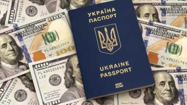 Ukrayna pasaportu ve parası, Ukrayna vatandaşının biyometrik pasaportu ve dolar.
