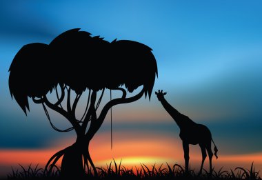 Zürafa ile Afrika savana
