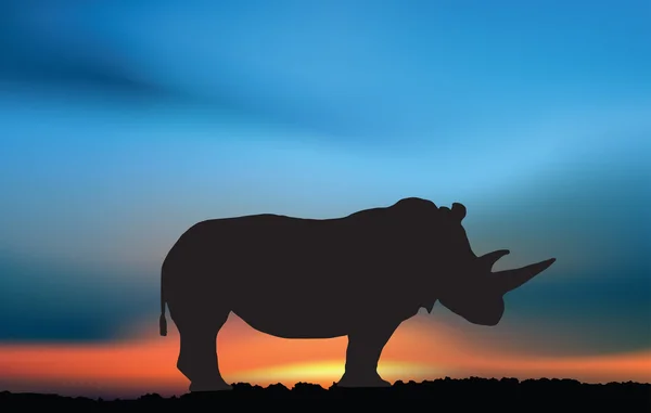 Rhino bij de zonsondergang — Stockvector