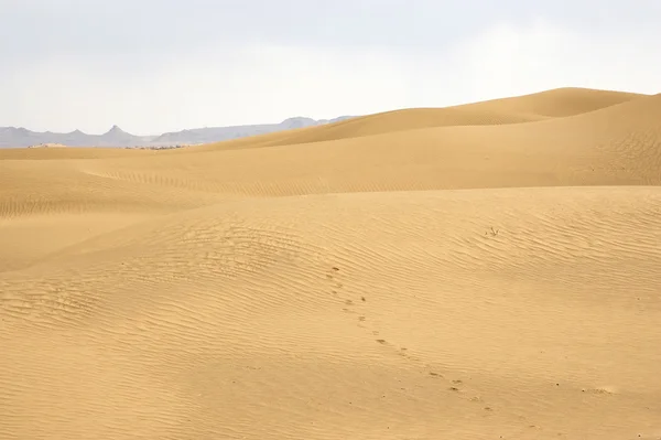 Woestijnlandschap — Stockfoto