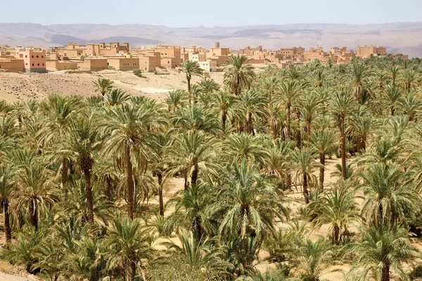 Palme e villaggio — Foto Stock