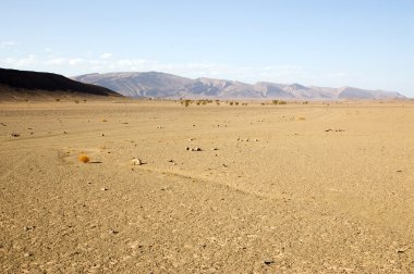 düz çöl manzarası