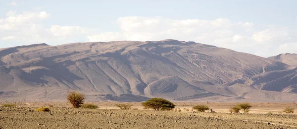 Paisaje plano del desierto —  Fotos de Stock