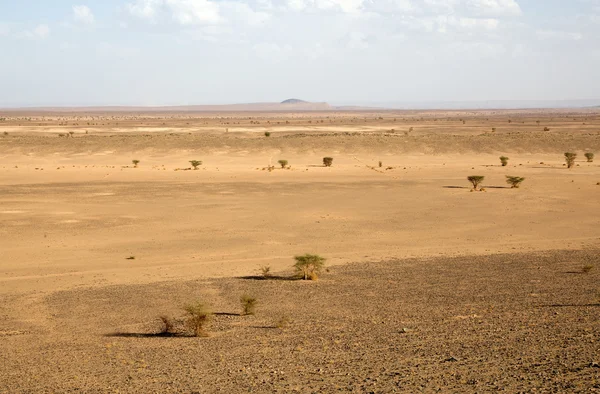 Woestijnlandschap — Stockfoto