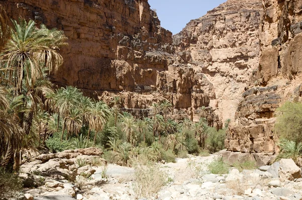 Amtoudi-Tal in Marokko — Stockfoto