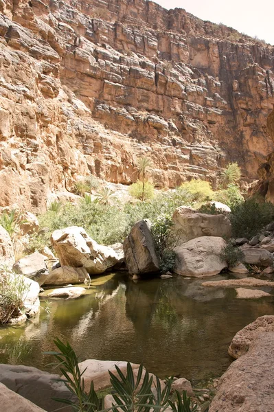 Marocko amtoudi valley — Stockfoto