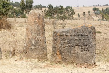 tiya Etiyopya dünya eritage sitesi