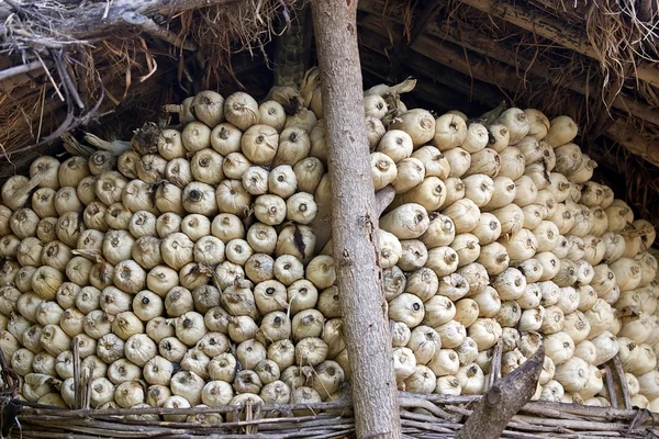 Armazém de milho africano — Fotografia de Stock