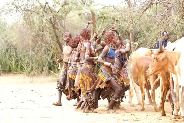 Femmes africaines — Photo