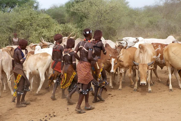 Afrikanische Frauen — Stockfoto