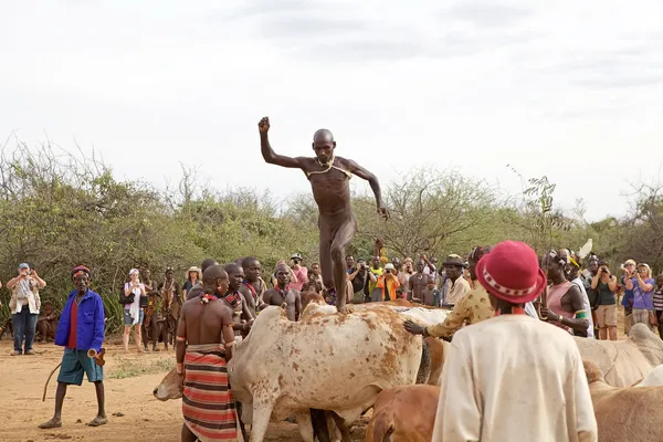 African man — Stock Photo, Image