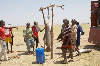 Afrika balıkçılar ve balık