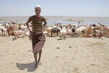Afrika shepheard