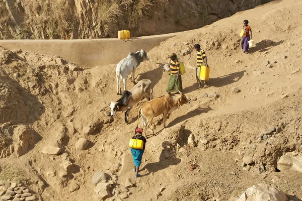 African and water — Stock Photo, Image