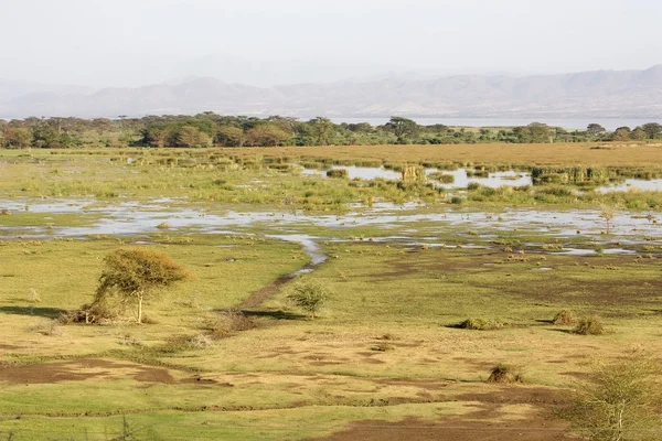 Afrikaanse landschap — Stockfoto