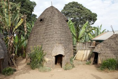 Afrika kulübesi