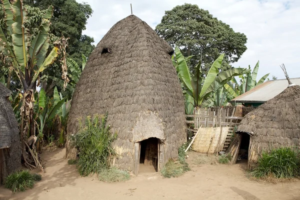 Afrikaanse hut — Stockfoto