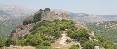 Nimrod kale