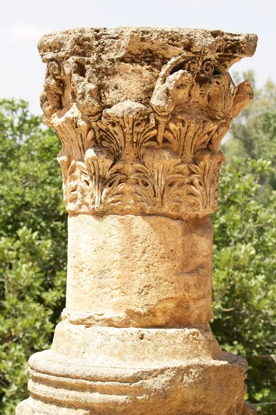 Columna antigua — Foto de Stock