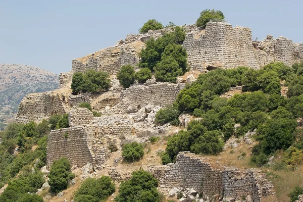 Nimrod kale