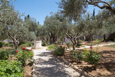 Bahçe gethsemane in