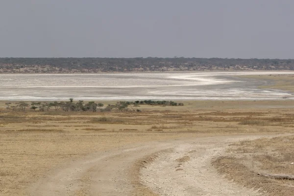 Afrikanska landskapet — Stockfoto