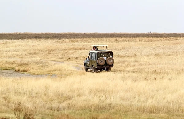 Afrika turizm — Stok fotoğraf