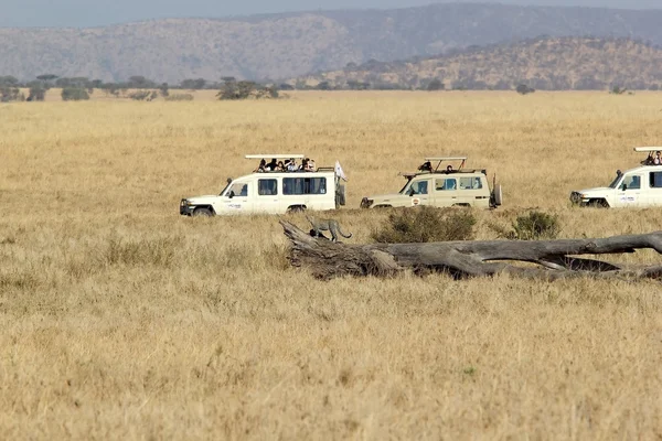 Turismo africano — Foto de Stock