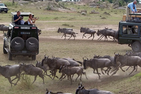 Afrika turizm — Stok fotoğraf