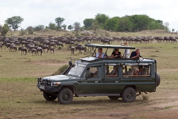 Afrika turizm — Stok fotoğraf