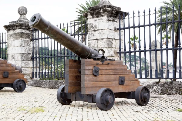 Cannon — Stock Photo, Image