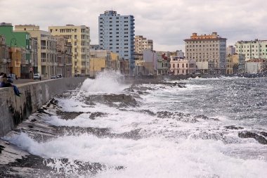 Havana