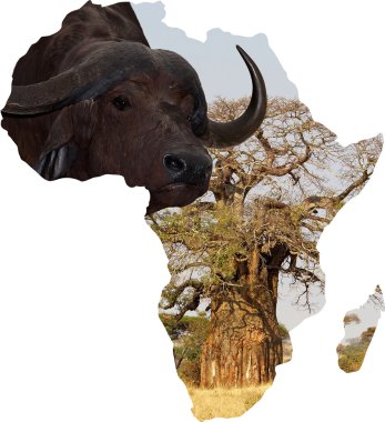 Afrika