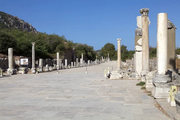 Straßenszene Bei Den Archäologischen Ausgrabungen Ephesos Türkei Ephesus Wurde 2015 — Stockfoto