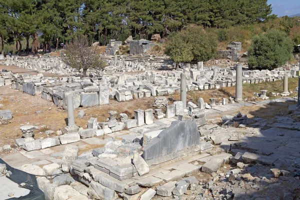 Efesus Arkeologiska Plats Turkiet Efesos Skrevs Världsarvslistan 2015 Det Kusten — Stockfoto
