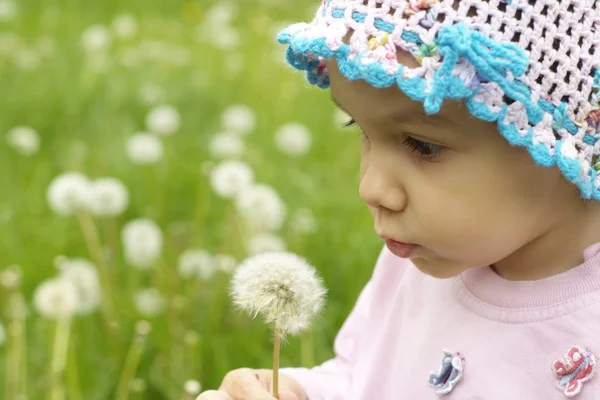 Petit enfant aime la nature — Photo