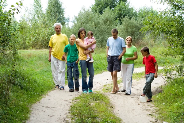 Oynarken sevimli aile — Stok fotoğraf