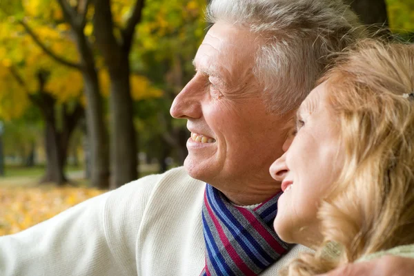 Lykkelig aldrende par i park – stockfoto