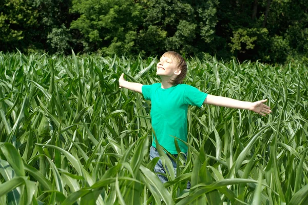 Lycklig pojke att ha kul — Stockfoto