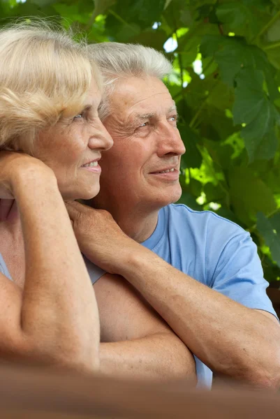 Beautiful family on the veranda — Stock Photo, Image