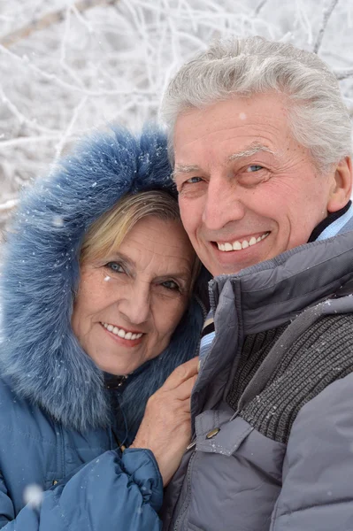 Koppel op een wandeling in de winter — Stockfoto